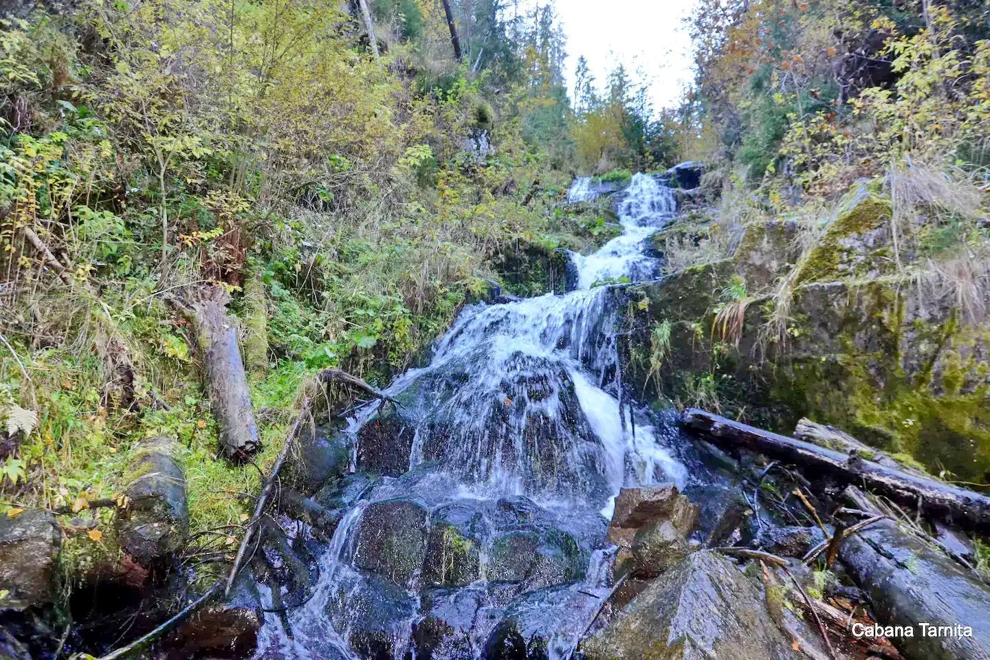Gyalu Szállás | Kulcsosház (K0893-47) A kép szerzői jogvédelem alatt állhat. Javasolt a kapcsolatfelvétel a jog tulajdonossal. Gyalu Szállás | Kulcsosház (K0893-47) A kép szerzői jogvédelem alatt állhat. Javasolt a kapcsolatfelvétel a jog tulajdonossal.