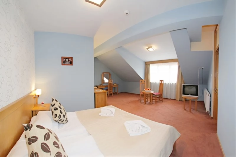 Cazare Odorheiu Secuiesc - Hotel Gondűző**** | Székelyudvarhely - Gondűző Szálló ****. Imaginea poate fi supusă drepturilor de autor. Se recomandă contactarea titularului drepturilor.