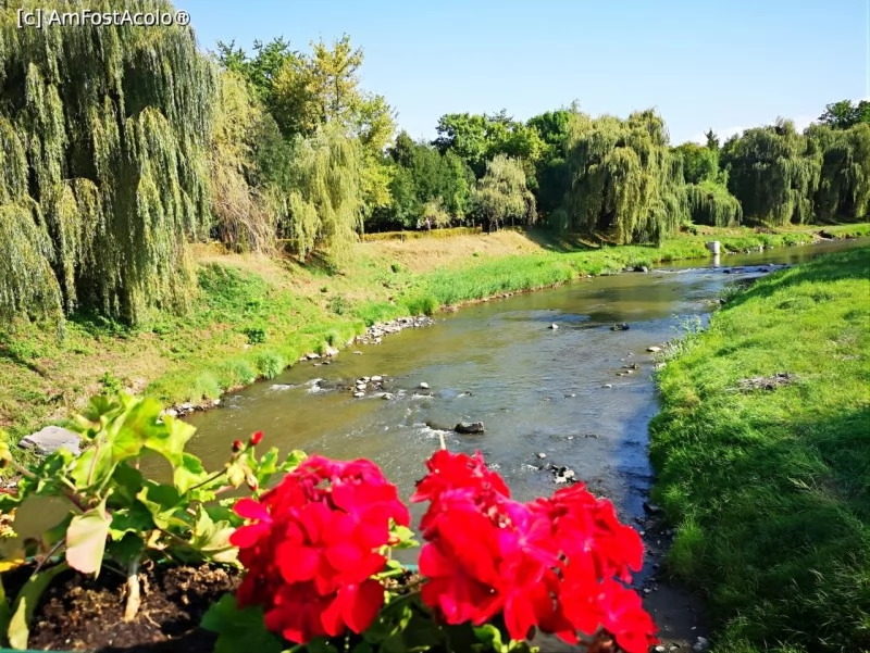 Odorheiu Secuiesc Cazare | Hotel**** (K0756-87) Imaginea poate fi supusă drepturilor de autor. Se recomandă contactarea titularului drepturilor. Odorheiu Secuiesc Cazare | Hotel**** (K0756-87) Imaginea poate fi supusă drepturilor de autor. Se recomandă contactarea titularului drepturilor.