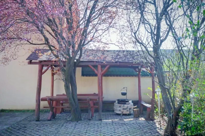 Hajdúszoboszló Cazare | Sat de vacanță (K0202-1) Imaginea poate fi supusă drepturilor de autor. Se recomandă contactarea titularului drepturilor.