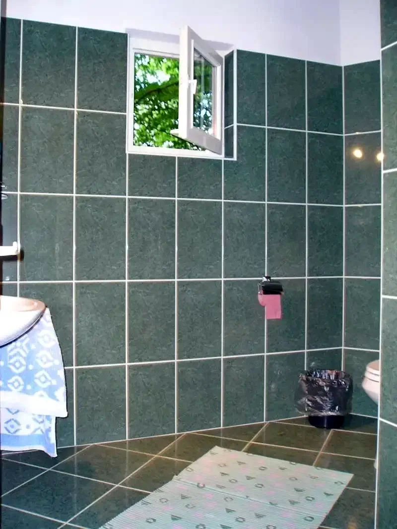 Cazare Sovata - Vila Edit *** | Szováta - Edit Villa ***. Imaginea poate fi supusă drepturilor de autor. Se recomandă contactarea titularului drepturilor.