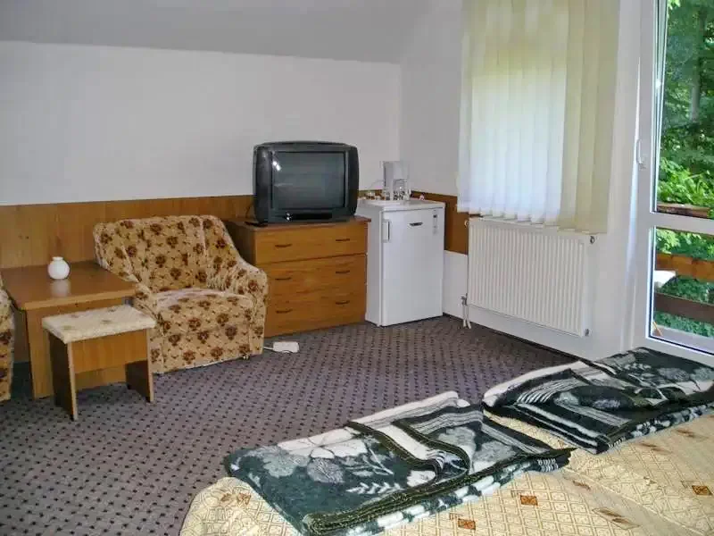 Cazare Sovata - Vila Edit *** | Szováta - Edit Villa ***. Imaginea poate fi supusă drepturilor de autor. Se recomandă contactarea titularului drepturilor.