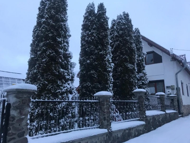 Vlăhița Cazare | Motel (K1575-27) Imaginea poate fi supusă drepturilor de autor. Se recomandă contactarea titularului drepturilor.