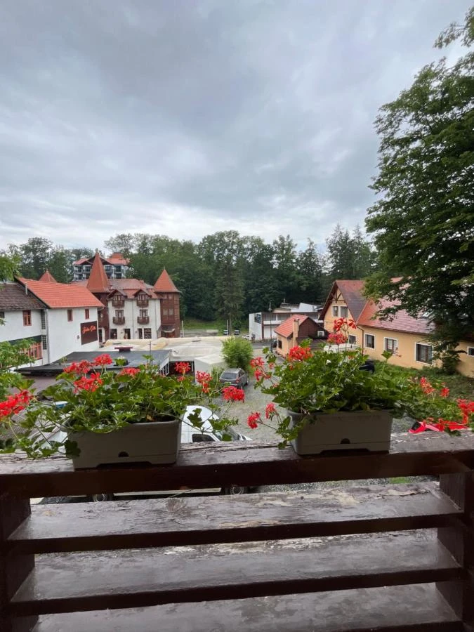 Szováta Szállás | Villa (K0316-53) A kép szerzői jogvédelem alatt állhat. Javasolt a kapcsolatfelvétel a jog tulajdonossal.