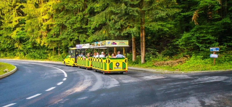 Szováta Szállás | Villa (K0316-63) A kép szerzői jogvédelem alatt állhat. Javasolt a kapcsolatfelvétel a jog tulajdonossal.