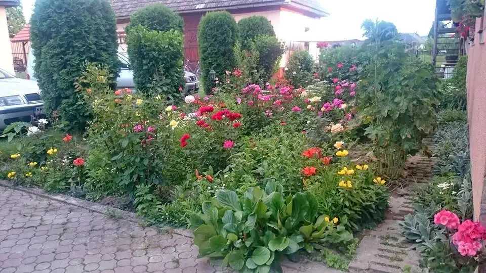 Coltău Cazare | Motel (K0441-30) Imaginea poate fi supusă drepturilor de autor. Se recomandă contactarea titularului drepturilor.