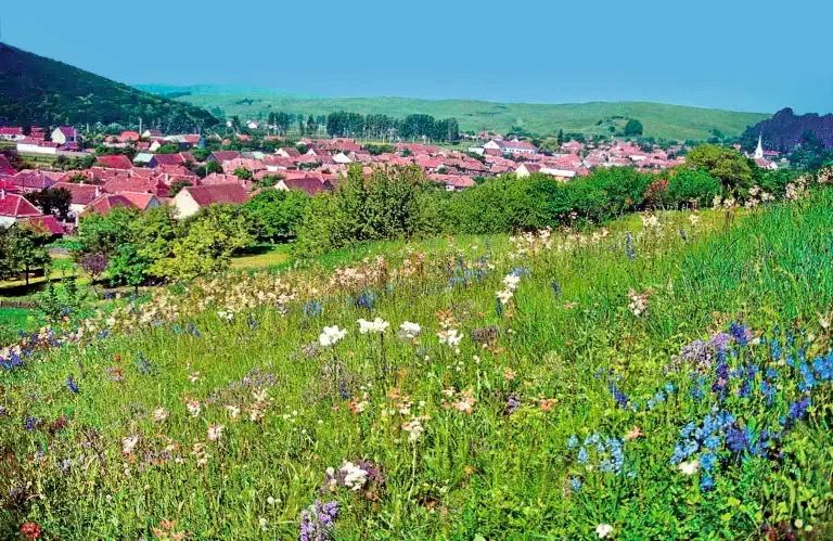 Bățanii Mici Cazare | Hotel**** (K0106-1) Imaginea poate fi supusă drepturilor de autor. Se recomandă contactarea titularului drepturilor.