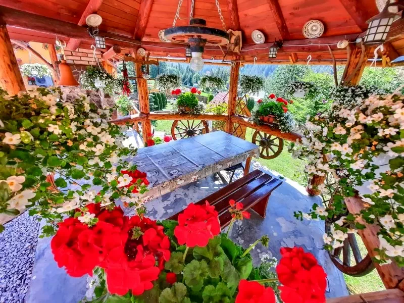 Gyilkostó Szállás | Panzió (K0910-3) A kép szerzői jogvédelem alatt állhat. Javasolt a kapcsolatfelvétel a jog tulajdonossal. Gyilkostó Szállás | Panzió (K0910-3) A kép szerzői jogvédelem alatt állhat. Javasolt a kapcsolatfelvétel a jog tulajdonossal.