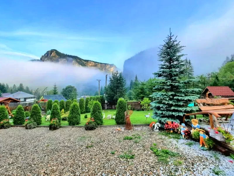 Lacu Roșu Cazare | Motel (K0910-39) Imaginea poate fi supusă drepturilor de autor. Se recomandă contactarea titularului drepturilor.