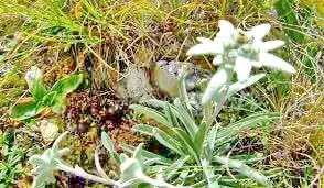 Lacu Roșu Cazare | Pensiune (K0910-45) Imaginea poate fi supusă drepturilor de autor. Se recomandă contactarea titularului drepturilor.