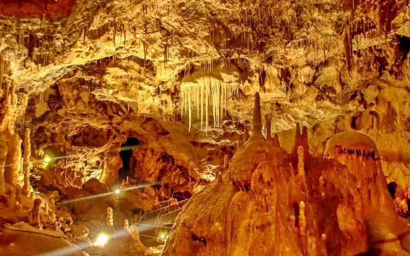 Medve Barlang Medve Barlang