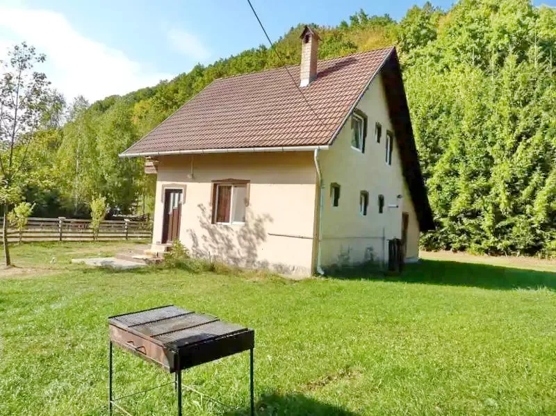 Pârâu Satu Mare Cazare | Sat de vacanță (K1154-8) Imaginea poate fi supusă drepturilor de autor. Se recomandă contactarea titularului drepturilor.