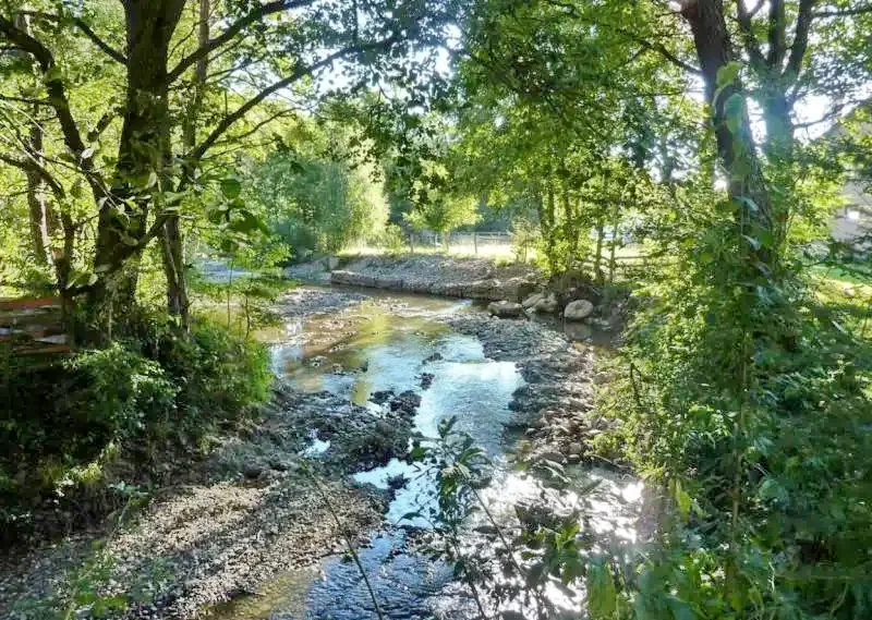 Pârâu Satu Mare Cazare | Cabană (K1154-9) Imaginea poate fi supusă drepturilor de autor. Se recomandă contactarea titularului drepturilor. Pârâu Satu Mare Cazare | Cabană (K1154-9) Imaginea poate fi supusă drepturilor de autor. Se recomandă contactarea titularului drepturilor.