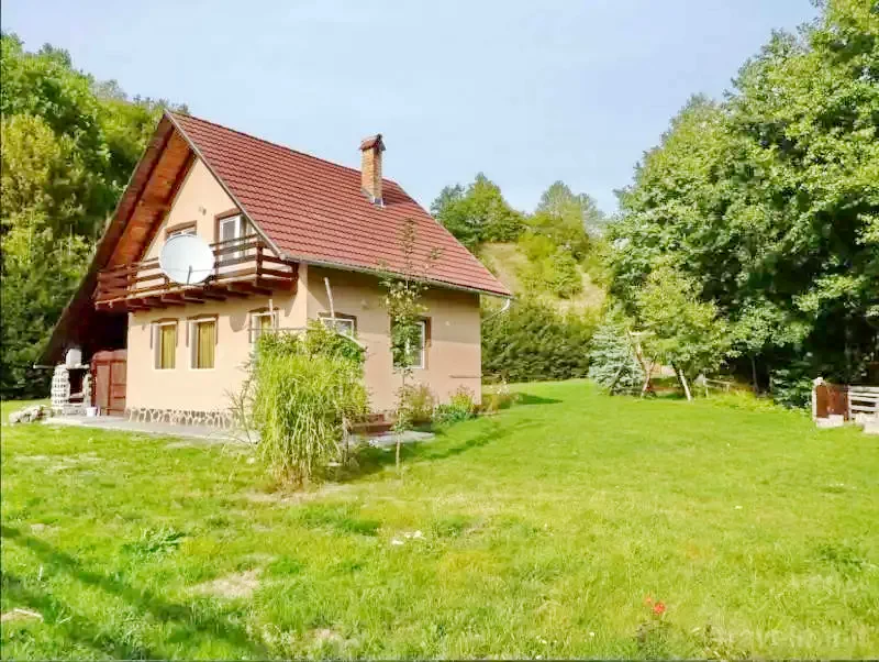 Pârâu Satu Mare Cazare | Cabana turistică (K1154-32) Imaginea poate fi supusă drepturilor de autor. Se recomandă contactarea titularului drepturilor.