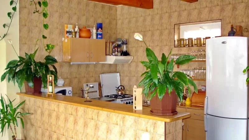 Csikpálfalva Szállás | Motel (K0128-2) A kép szerzői jogvédelem alatt állhat. Javasolt a kapcsolatfelvétel a jog tulajdonossal.