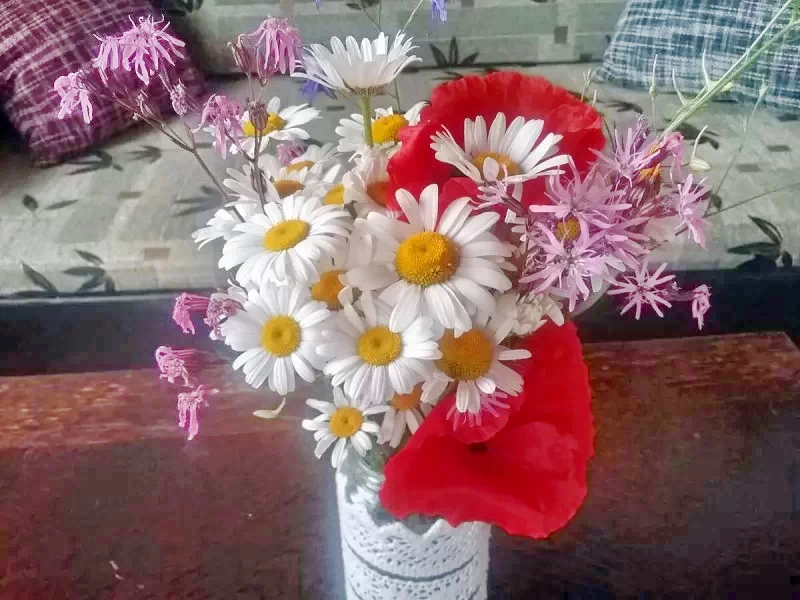 Csikpálfalva Szállás | Panzió (K0128-11) A kép szerzői jogvédelem alatt állhat. Javasolt a kapcsolatfelvétel a jog tulajdonossal.