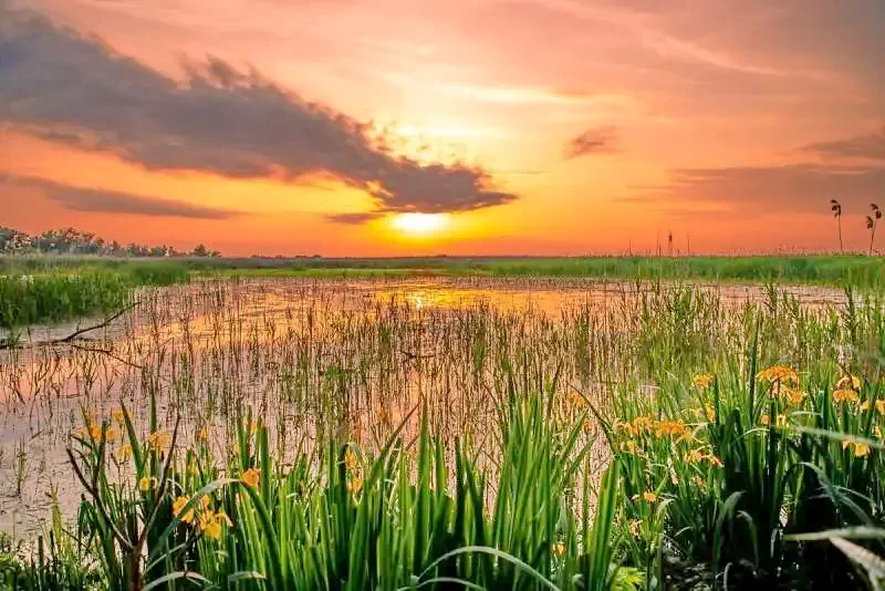 Tulcea Cazare | Pensiune (K1307-29) Imaginea poate fi supusă drepturilor de autor. Se recomandă contactarea titularului drepturilor.