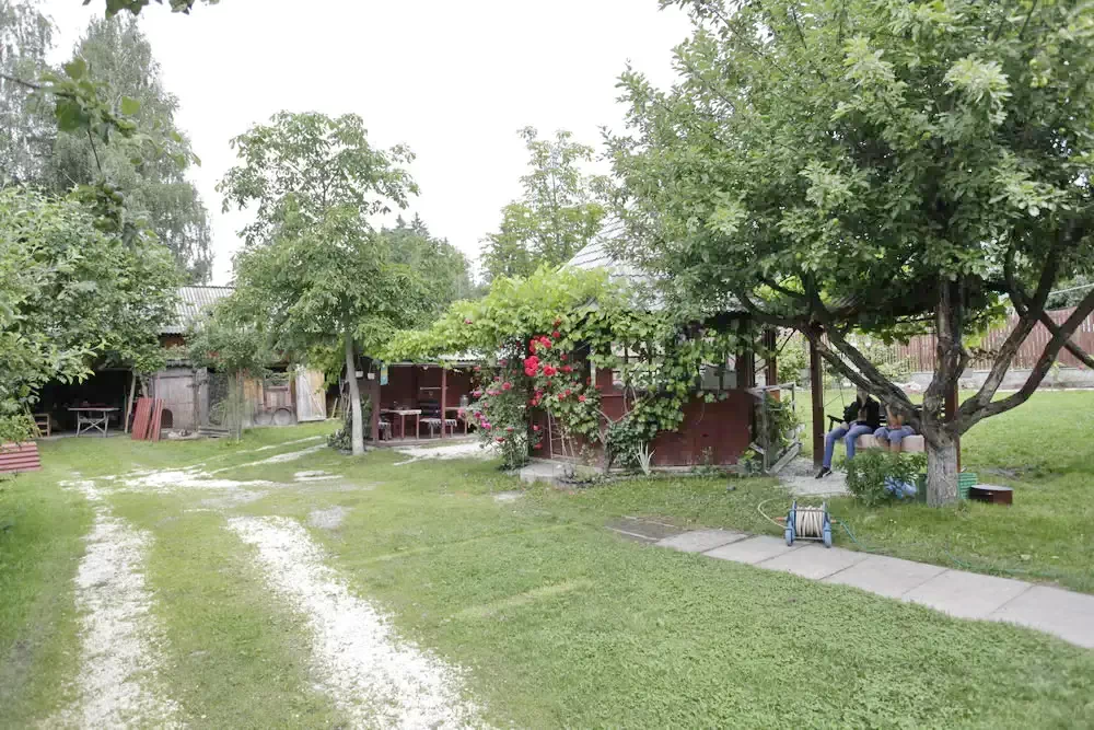 Cazare Izvoru Mureșului - Pensiunea Kinga** | Marosfő - Kinga Panzió**. Imaginea poate fi supusă drepturilor de autor. Se recomandă contactarea titularului drepturilor.