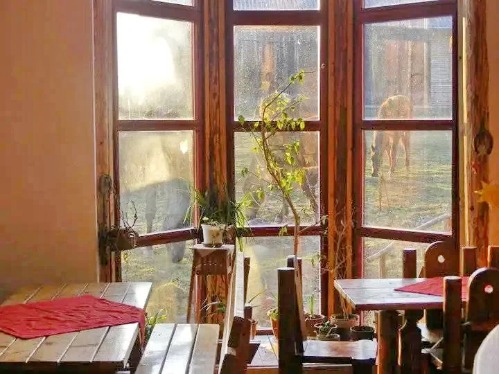 Homoródfürdő Szállás | Panzió (K0121-22) A kép szerzői jogvédelem alatt állhat. Javasolt a kapcsolatfelvétel a jog tulajdonossal.