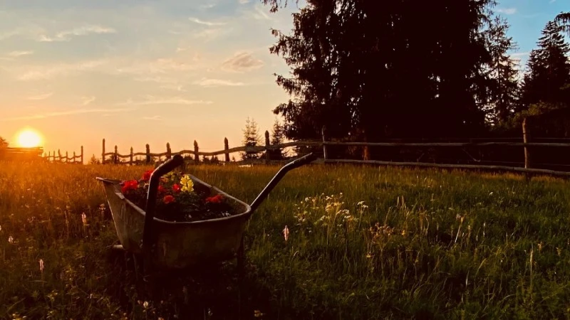 Homoródfürdő Szállás | Panzió (K0121-38) A kép szerzői jogvédelem alatt állhat. Javasolt a kapcsolatfelvétel a jog tulajdonossal.