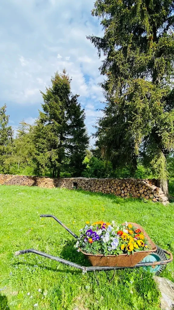 Homoródfürdő Szállás | Panzió (K0121-46) A kép szerzői jogvédelem alatt állhat. Javasolt a kapcsolatfelvétel a jog tulajdonossal.