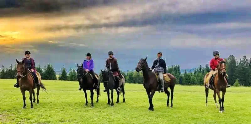 Homoródfürdő Szállás | Motel (K0121-53) A kép szerzői jogvédelem alatt állhat. Javasolt a kapcsolatfelvétel a jog tulajdonossal.