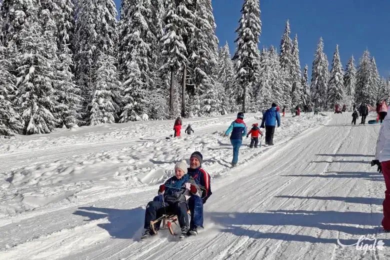 Borzont Szállás | Motel (K1073-47) A kép szerzői jogvédelem alatt állhat. Javasolt a kapcsolatfelvétel a jog tulajdonossal.