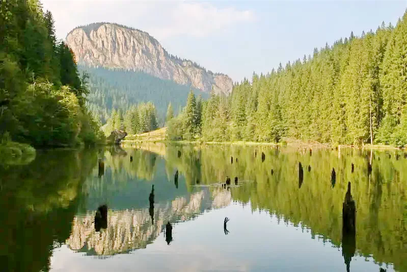 Frumoasa Cazare | Casă de oaspeți (K1121-32) Imaginea poate fi supusă drepturilor de autor. Se recomandă contactarea titularului drepturilor. Frumoasa Cazare | Casă de oaspeți (K1121-32) Imaginea poate fi supusă drepturilor de autor. Se recomandă contactarea titularului drepturilor.