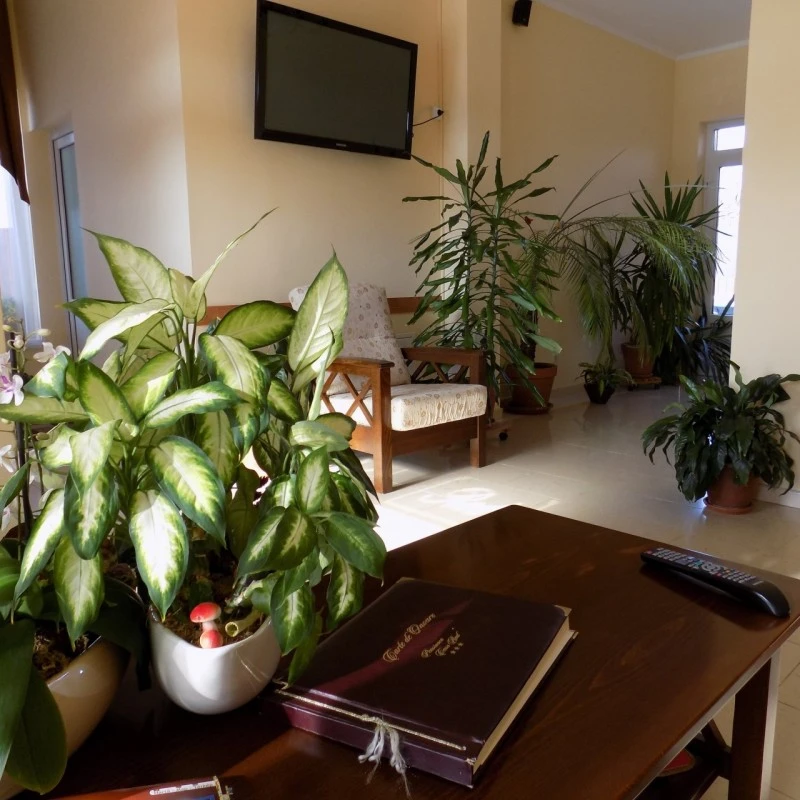 Sânmartin Cazare | Motel (K0702-5) Imaginea poate fi supusă drepturilor de autor. Se recomandă contactarea titularului drepturilor.