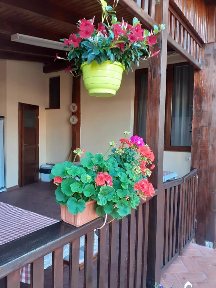 Sânmartin Cazare | Motel (K0702-22) Imaginea poate fi supusă drepturilor de autor. Se recomandă contactarea titularului drepturilor.