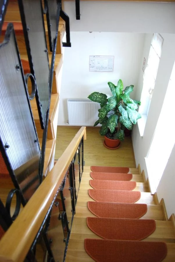 Sânmartin Cazare | Motel (K0702-25) Imaginea poate fi supusă drepturilor de autor. Se recomandă contactarea titularului drepturilor.