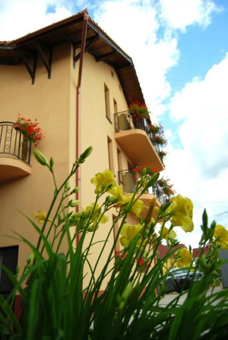 Sânmartin Cazare | Motel (K0702-60) Imaginea poate fi supusă drepturilor de autor. Se recomandă contactarea titularului drepturilor.