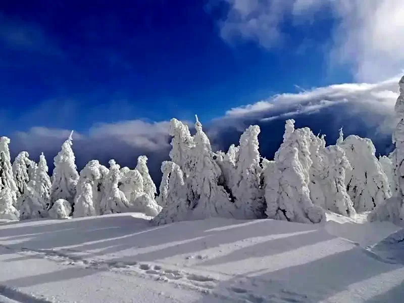 Harghita-Băi Cazare | Cabană (K1215-32) Imaginea poate fi supusă drepturilor de autor. Se recomandă contactarea titularului drepturilor.