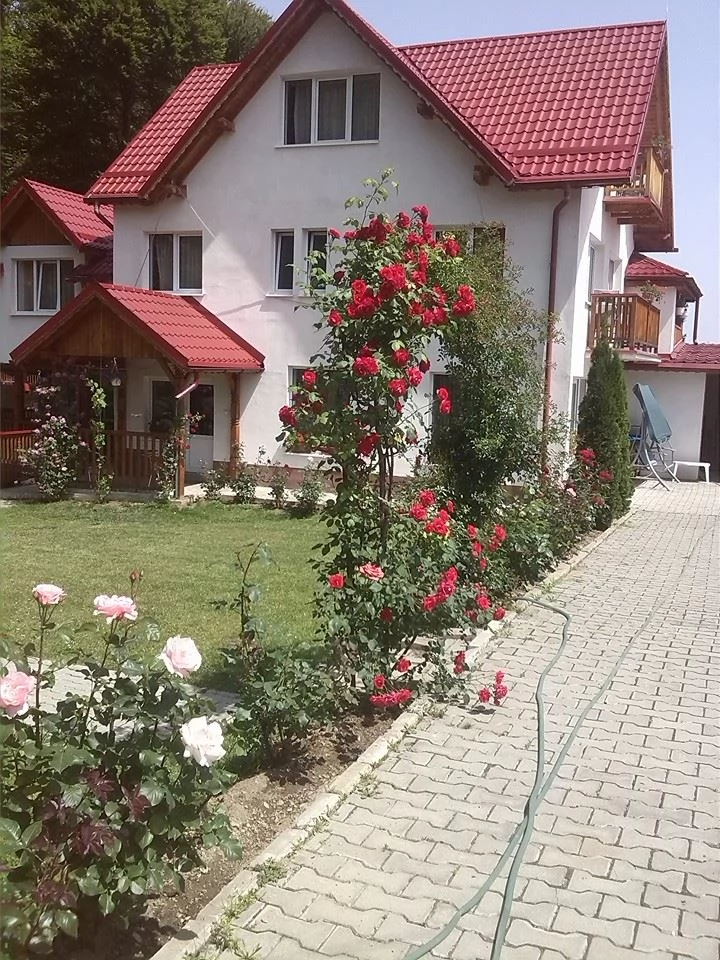 Sâmbăta de Sus Cazare | Motel (K0737-35) Imaginea poate fi supusă drepturilor de autor. Se recomandă contactarea titularului drepturilor.