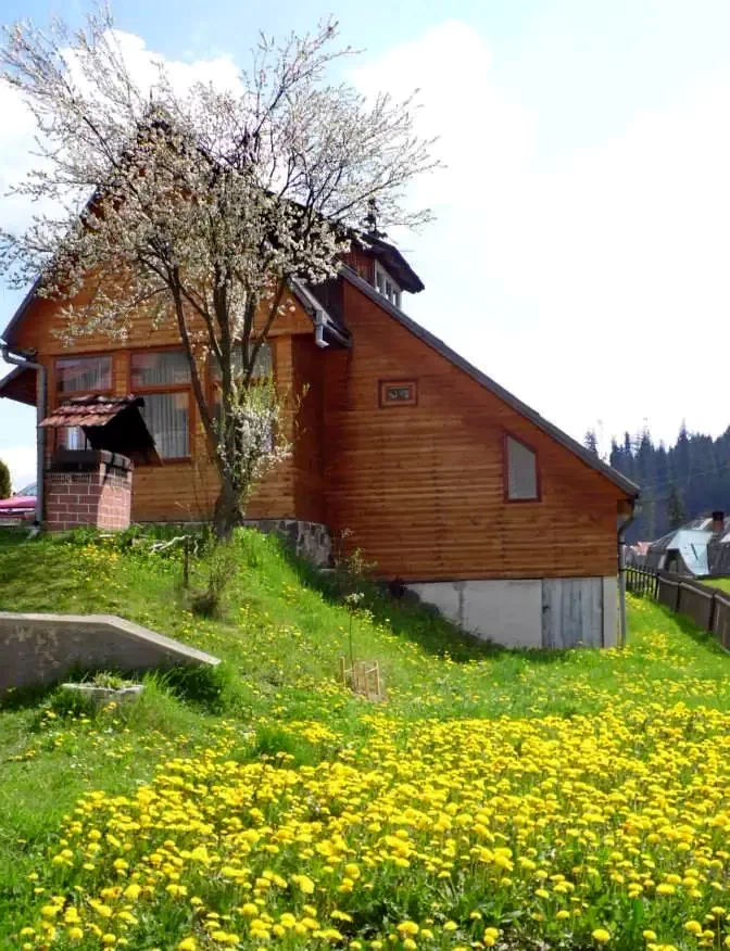 Borsec Cazare | Motel (K1236-11) Imaginea poate fi supusă drepturilor de autor. Se recomandă contactarea titularului drepturilor.