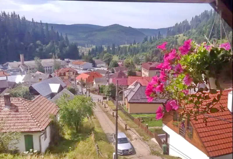 Borszék Szállás | Motel (K1236-15) A kép szerzői jogvédelem alatt állhat. Javasolt a kapcsolatfelvétel a jog tulajdonossal.