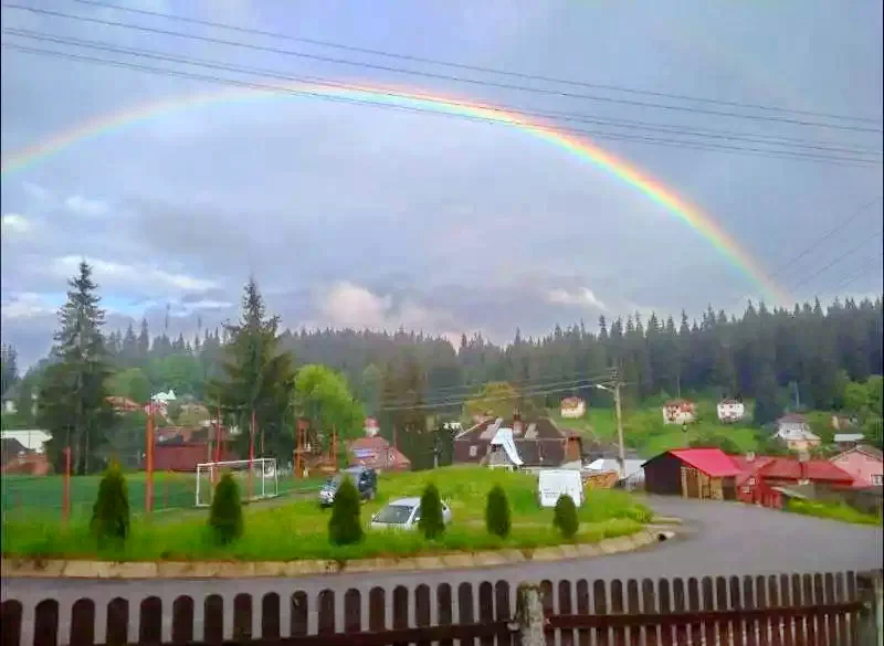 Borsec Cazare | Motel (K1236-23) Imaginea poate fi supusă drepturilor de autor. Se recomandă contactarea titularului drepturilor.