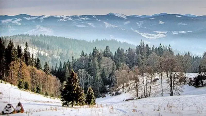 Borszék Szállás | Panzió (K1236-37) A kép szerzői jogvédelem alatt állhat. Javasolt a kapcsolatfelvétel a jog tulajdonossal. Borszék Szállás | Panzió (K1236-37) A kép szerzői jogvédelem alatt állhat. Javasolt a kapcsolatfelvétel a jog tulajdonossal.