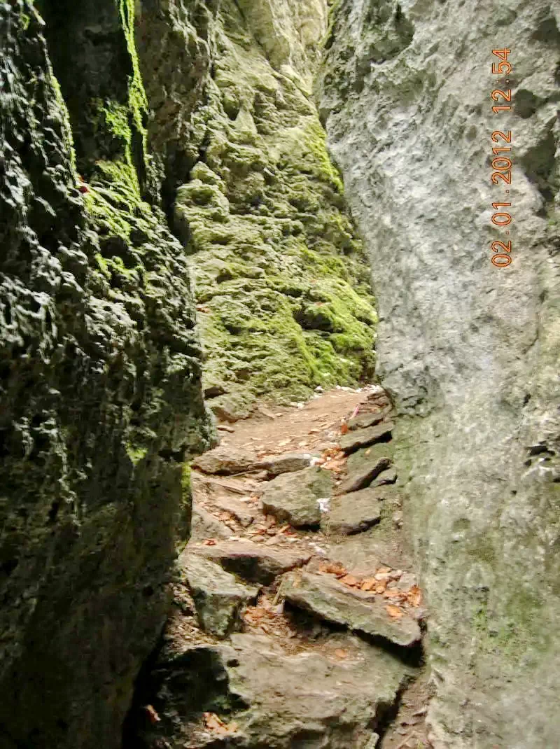 Borszék Szállás | Panzió (K1236-46) A kép szerzői jogvédelem alatt állhat. Javasolt a kapcsolatfelvétel a jog tulajdonossal. Borszék Szállás | Panzió (K1236-46) A kép szerzői jogvédelem alatt állhat. Javasolt a kapcsolatfelvétel a jog tulajdonossal.