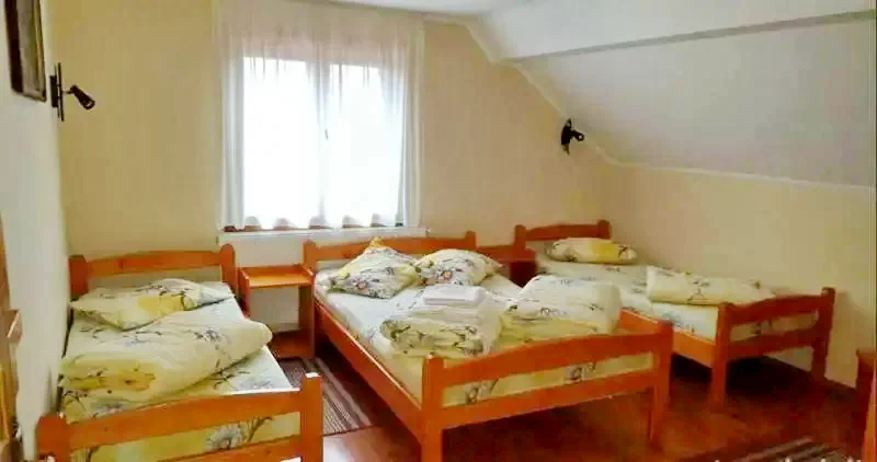 Cazare Praid - Pensiunea Csillag ** | Parajd - Csillag Panzió **. Imaginea poate fi supusă drepturilor de autor. Se recomandă contactarea titularului drepturilor.