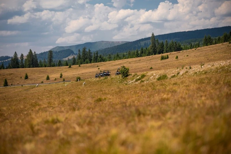 Padis Cazare | Pensiune (K0363-152) Imaginea poate fi supusă drepturilor de autor. Se recomandă contactarea titularului drepturilor.