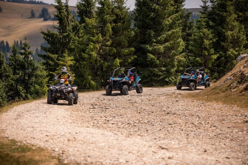 Padis Cazare | Pensiune (K0363-162) Imaginea poate fi supusă drepturilor de autor. Se recomandă contactarea titularului drepturilor.