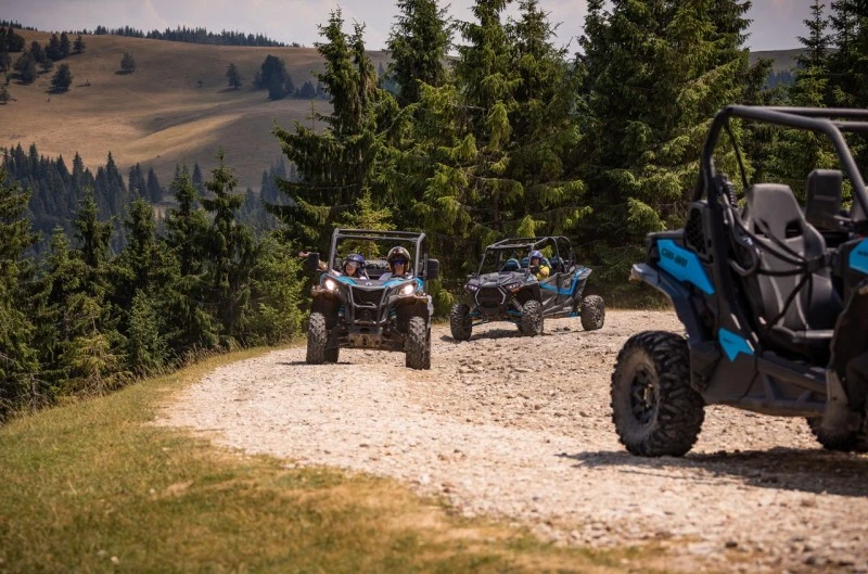 Padis Cazare | Pensiune (K0363-171) Imaginea poate fi supusă drepturilor de autor. Se recomandă contactarea titularului drepturilor.