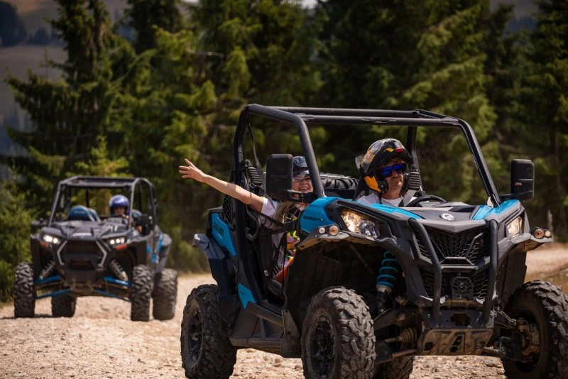 Padis Cazare | Pensiune (K0363-176) Imaginea poate fi supusă drepturilor de autor. Se recomandă contactarea titularului drepturilor.