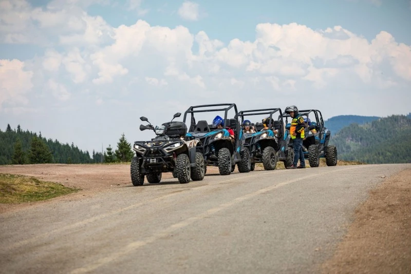 Padis Cazare | Pensiune (K0363-183) Imaginea poate fi supusă drepturilor de autor. Se recomandă contactarea titularului drepturilor.