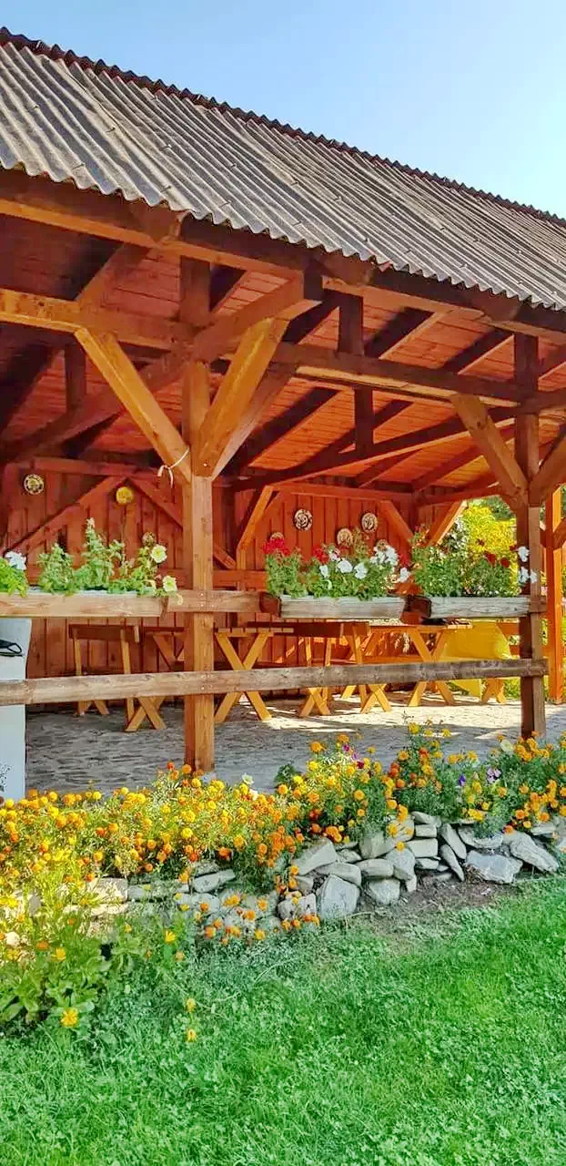 Lunca de Jos Cazare | Hotel**** (K0617-17) Imaginea poate fi supusă drepturilor de autor. Se recomandă contactarea titularului drepturilor.