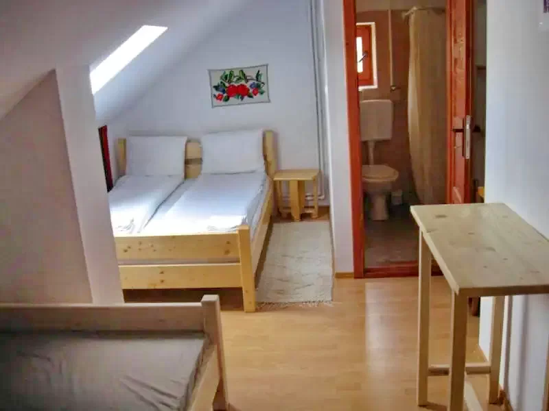 Lunca de Jos Cazare | Hotel**** (K0617-26) Imaginea poate fi supusă drepturilor de autor. Se recomandă contactarea titularului drepturilor.