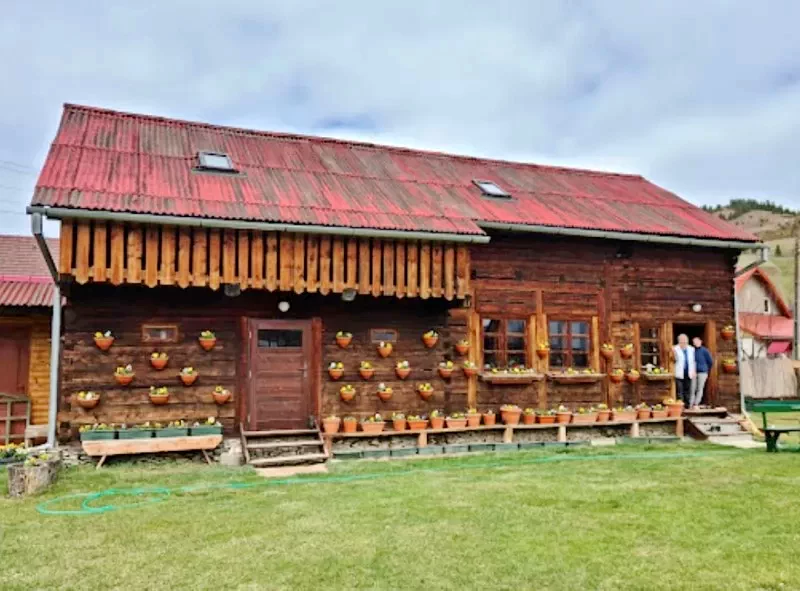 Lunca de Jos Cazare | Hotel**** (K0617-46) Imaginea poate fi supusă drepturilor de autor. Se recomandă contactarea titularului drepturilor.