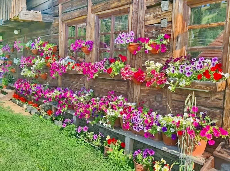 Lunca de Jos Cazare | Hotel**** (K0617-50) Imaginea poate fi supusă drepturilor de autor. Se recomandă contactarea titularului drepturilor.