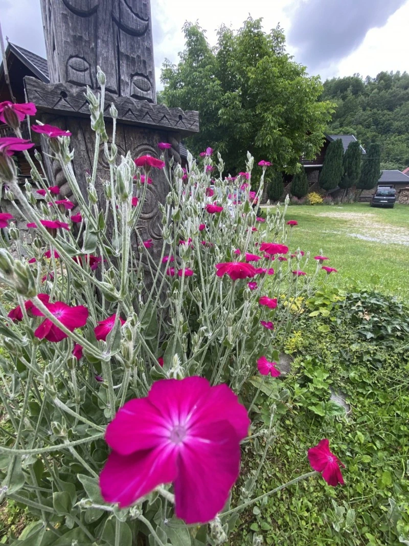 Nagysebes Szállás | Üdülőfalu (K0768-31) A kép szerzői jogvédelem alatt állhat. Javasolt a kapcsolatfelvétel a jog tulajdonossal.